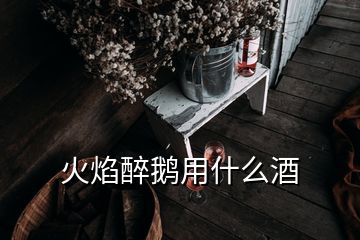 火焰醉鵝用什么酒