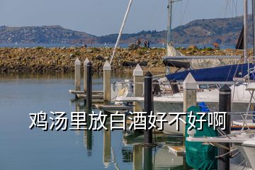 雞湯里放白酒好不好啊