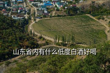 山東省內有什么低度白酒好喝