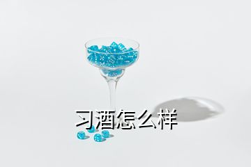 習(xí)酒怎么樣