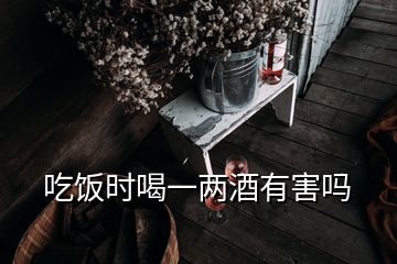 吃飯時喝一兩酒有害嗎