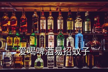 愛喝啤酒易招蚊子