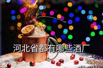 河北省都有哪些酒廠