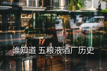 誰知道 五糧液酒廠歷史