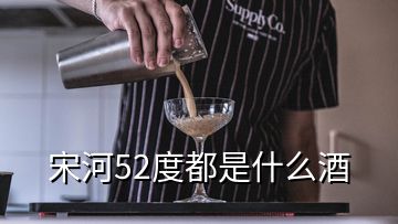 宋河52度都是什么酒