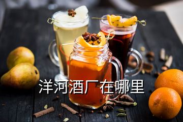 洋河酒廠在哪里