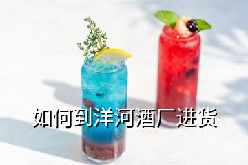 如何到洋河酒廠進貨