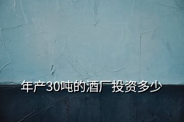 年產(chǎn)30噸的酒廠投資多少