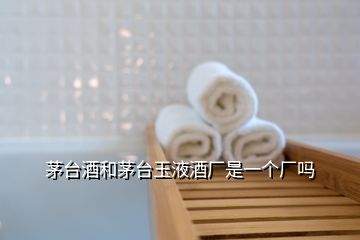 茅臺(tái)酒和茅臺(tái)玉液酒廠是一個(gè)廠嗎