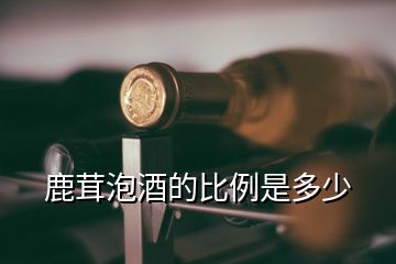 鹿茸泡酒的比例是多少