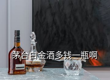 茅臺白金酒多錢一瓶啊