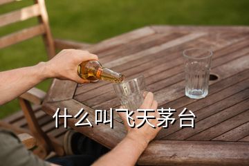 什么叫飛天茅臺(tái)