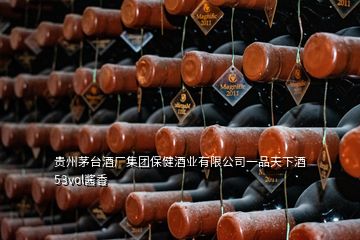 貴州茅臺(tái)酒廠集團(tuán)保健酒業(yè)有限公司一品天下酒53vol醬香