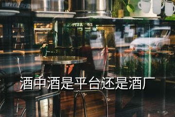 酒中酒是平臺(tái)還是酒廠