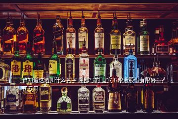 誰(shuí)知道這酒叫什么名字 底部寫的 宜賓五糧液股份有限公司專用