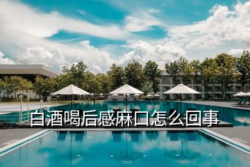 白酒喝后感麻口怎么回事