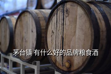 茅臺(tái)鎮(zhèn) 有什么好的品牌糧食酒