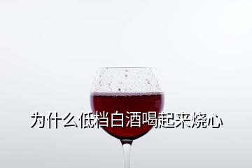 為什么低檔白酒喝起來燒心