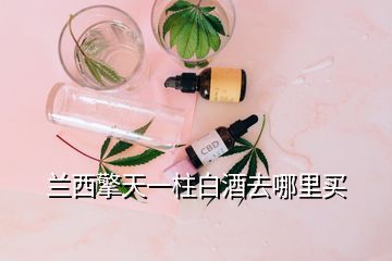 蘭西擎天一柱白酒去哪里買