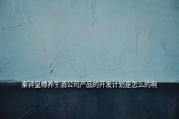 秦鐘皇樽養(yǎng)生酒公司產(chǎn)品的開發(fā)計(jì)劃是怎么的啊