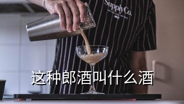 這種郎酒叫什么酒