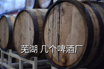 蕪湖 幾個(gè)啤酒廠