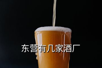 東營有幾家酒廠