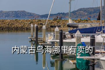 內(nèi)蒙古烏海哪里有賣的