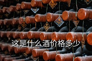 這是什么酒價格多少