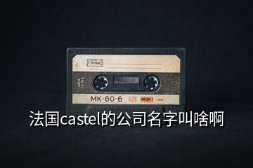 法國castel的公司名字叫啥啊