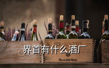 界首有什么酒廠