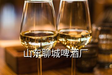 山東聊城啤酒廠(chǎng)