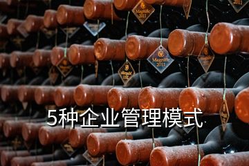 5種企業(yè)管理模式