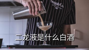 二龍液是什么白酒