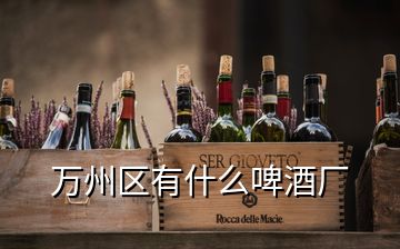 萬州區(qū)有什么啤酒廠