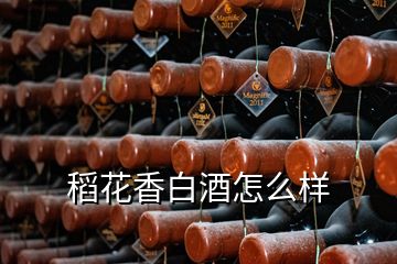 稻花香白酒怎么樣