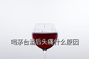 喝茅臺(tái)酒后頭痛什么原因