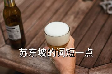 蘇東坡的詞短一點(diǎn)