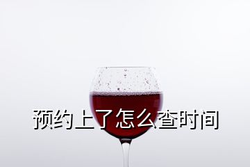 預(yù)約上了怎么查時間