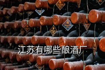 江蘇有哪些釀酒廠