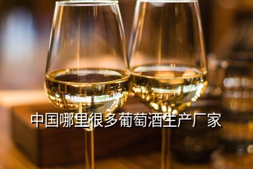 中國(guó)哪里很多葡萄酒生產(chǎn)廠家