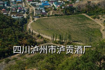 四川瀘州市瀘貢酒廠