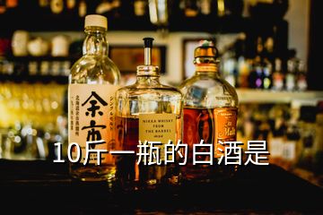 10斤一瓶的白酒是