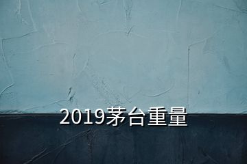 2019茅臺重量