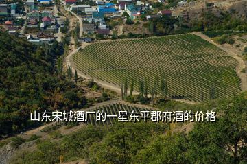 山東宋城酒廠的一星東平郡府酒的價格