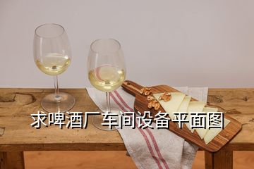 求啤酒廠車間設(shè)備平面圖