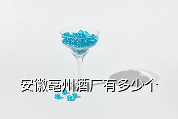 安徽亳州酒廠有多少個(gè)