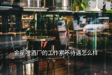 金星啤酒廠(chǎng)的工作累不待遇怎么樣