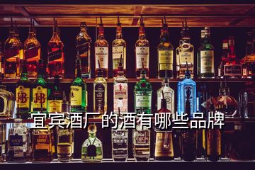 宜賓酒廠的酒有哪些品牌