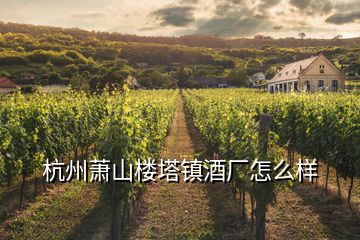 杭州蕭山樓塔鎮(zhèn)酒廠怎么樣